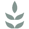 logoicon
